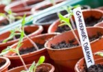 ChildrensGardening ChildrensGardening