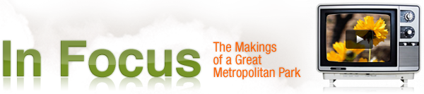 In Focus: The Makings of a Great Metropolitan Park